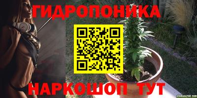 герыч Можга