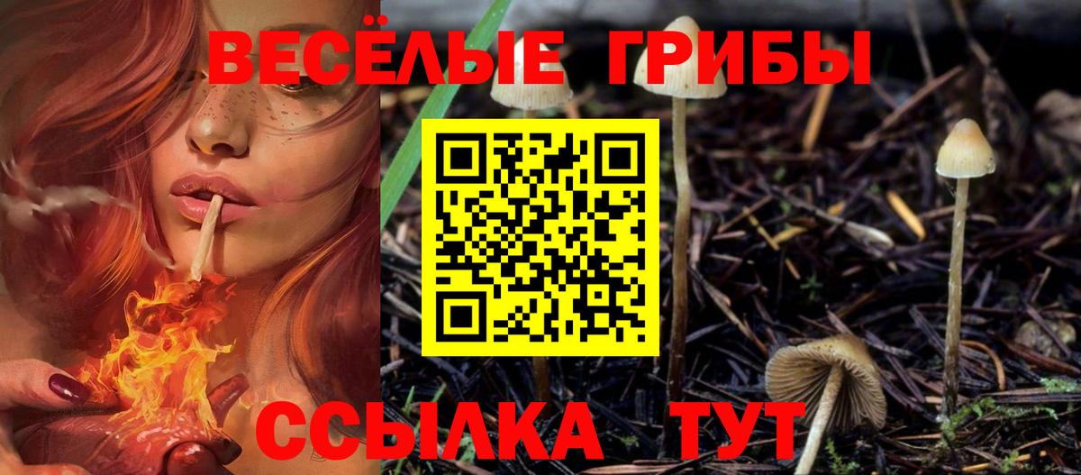 Псилоцибиновые грибы прущие грибы  Псилоцибиновые грибы MAGIC MUSHROOMS  Батайск  Вход с VPN 